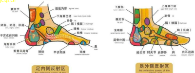 足部健康新知如何避免足背部疼痛？