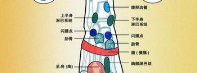 足部按摩新法：舒缓疲劳，迈向健康新境界