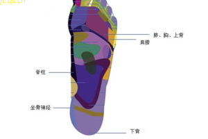 足部健康新知为脚背背解谜，预防背痛！